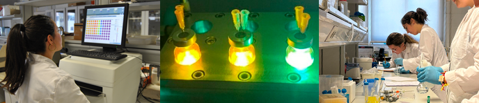 Doble Grado en Biotecnolog�a + Qu�mica