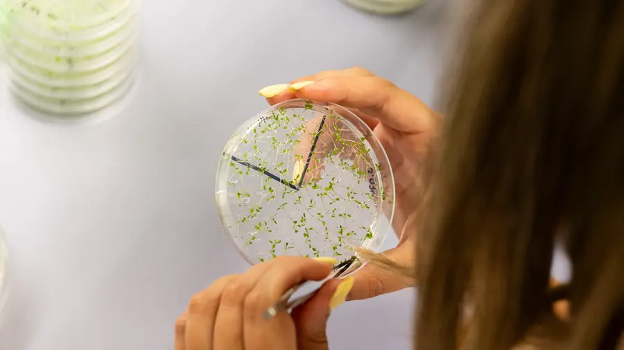 Imagen representativa de Instituts i centres d'investigació per àrees de treball