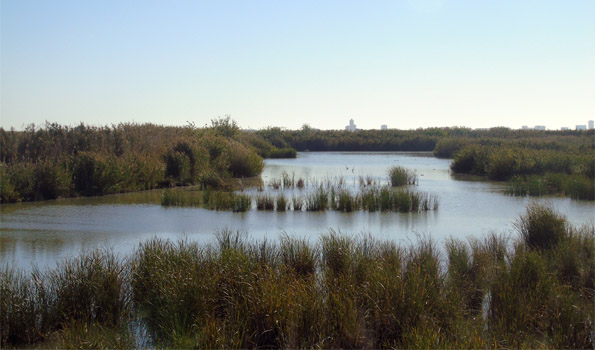 Estructuras de investigación